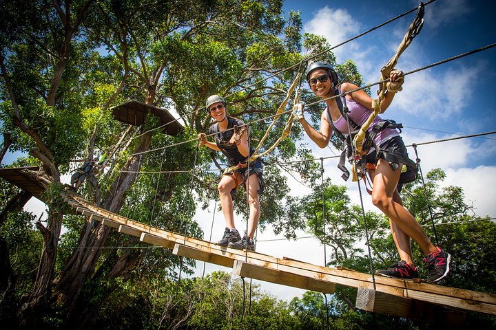 Aventureiros em tirolesa pela exuberante floresta de Maui com vista para o mar, foto 14 | wizardtrip
