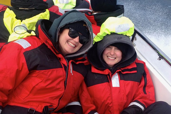 Hvalsafari i Victoria, Canada, hvor man ser havdyr og hvaler fra en båd, foto 11 | wizardtrip