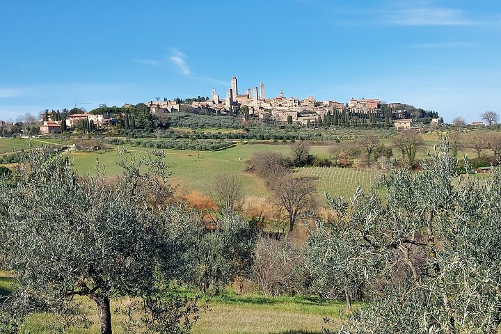 Dagvullende tour door Toscane met bezoek aan Pisa, San Gimignano en Siena met wijnproeverij, foto 10 | wizardtrip