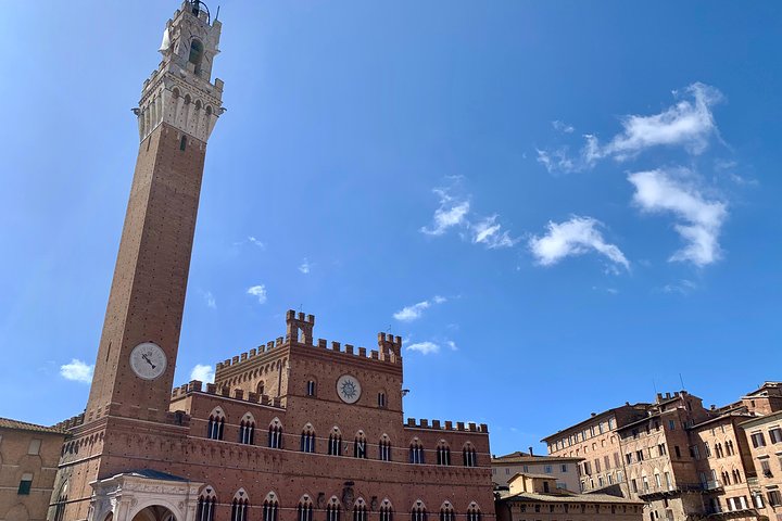 Dagvullende tour door Toscane met bezoek aan Pisa, San Gimignano en Siena met wijnproeverij, foto 15 | wizardtrip