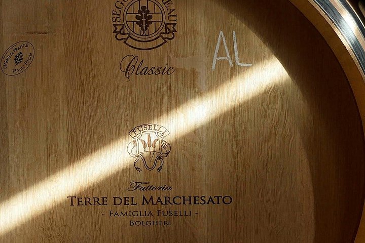 Vinsmagning og vingårdsrundvisning på Terre del Marchesato i Bolgheri, Italien, foto 8 | wizardtrip