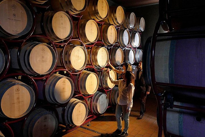 Vinsmagning og vingårdsrundvisning på Terre del Marchesato i Bolgheri, Italien, foto 9 | wizardtrip