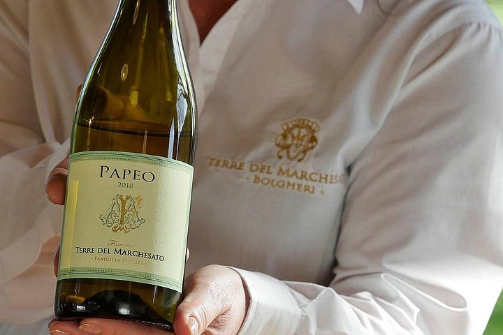 Vinsmagning og vingårdsrundvisning på Terre del Marchesato i Bolgheri, Italien, foto 10 | wizardtrip