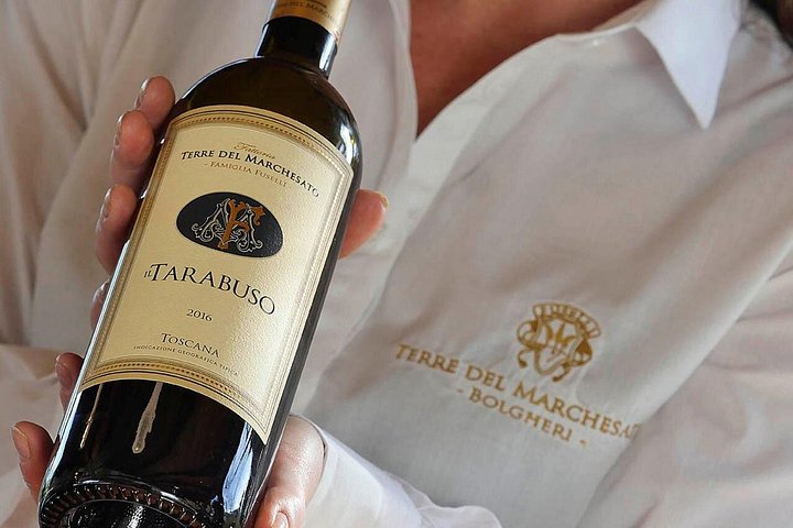 Vinsmagning og vingårdsrundvisning på Terre del Marchesato i Bolgheri, Italien, foto 11 | wizardtrip