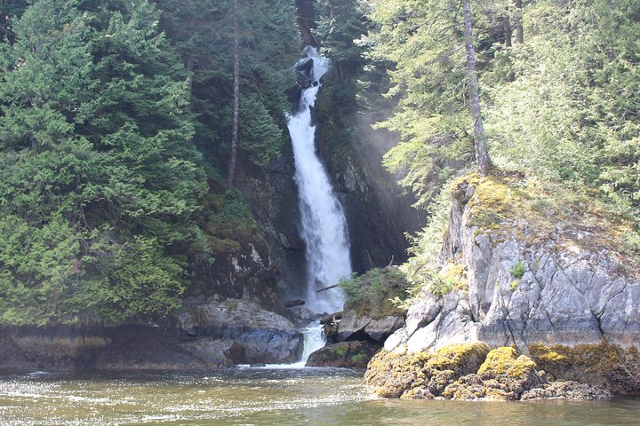 Oplev Vancouvers fantastiske kystlinje og fjorde på en spændende Zodiac-bådtur, og spot dyreliv og vartegn, foto 7 | wizardtrip