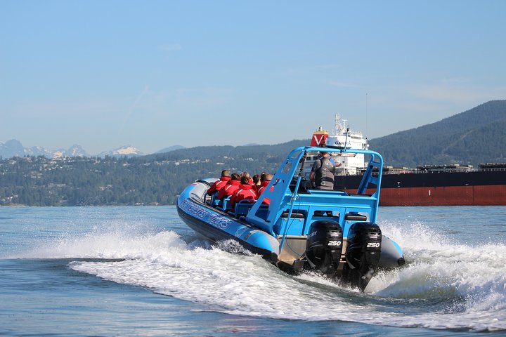 Oplev Vancouvers fantastiske kystlinje og fjorde på en spændende Zodiac-bådtur, og spot dyreliv og vartegn, foto 8 | wizardtrip