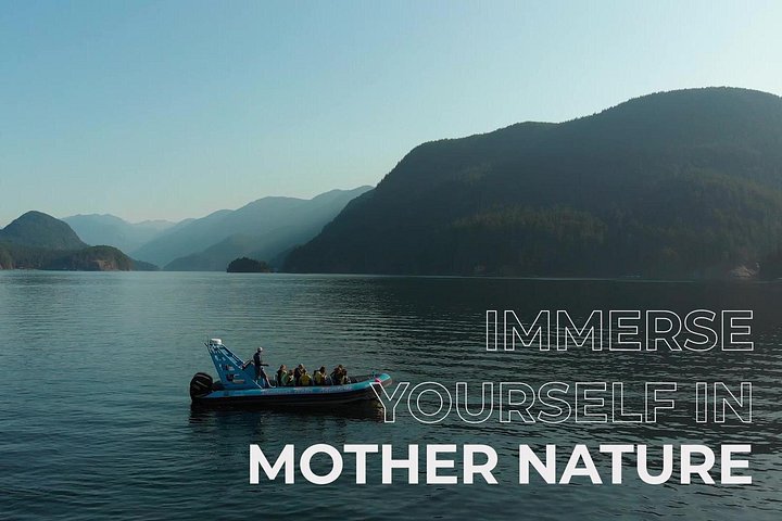 Oplev Vancouvers fantastiske kystlinje og fjorde på en spændende Zodiac-bådtur, og spot dyreliv og vartegn, foto 11 | wizardtrip
