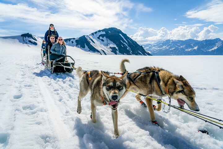 Alaska Helicopter en Glacier Hondenslee Tour - Anchorage Gebied | wizardtrip