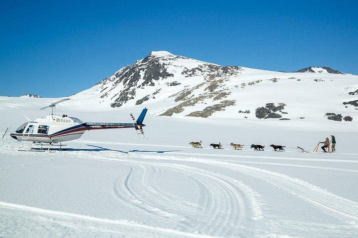 Helicopter flight and dogsledding adventure in Alaska with huskies and glaciers, photo 6 | wizardtrip