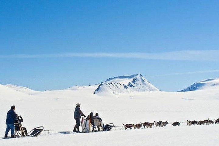 Helicopter flight and dogsledding adventure in Alaska with huskies and glaciers, photo 7 | wizardtrip