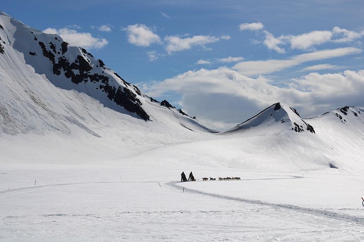 Helicopter flight and dogsledding adventure in Alaska with huskies and glaciers, photo 9 | wizardtrip