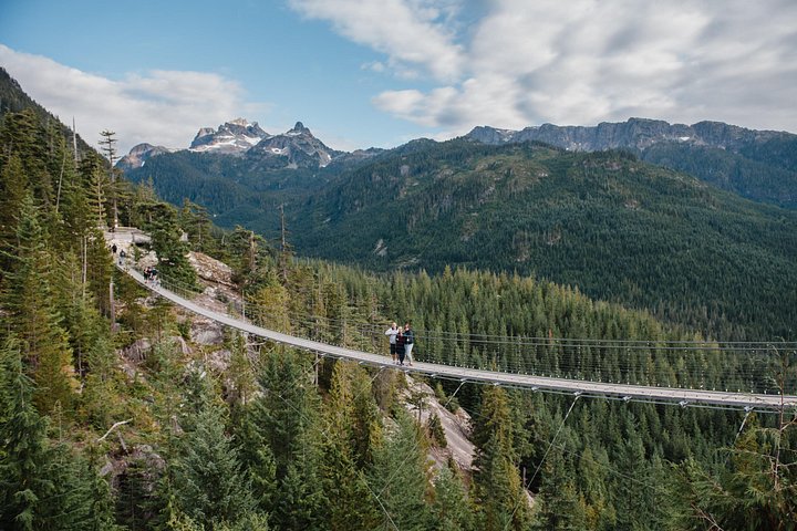 Prenez la télécabine Sea to Sky à Squamish pour des vues magnifiques sur la montagne et la forêt, photo 7 | wizardtrip
