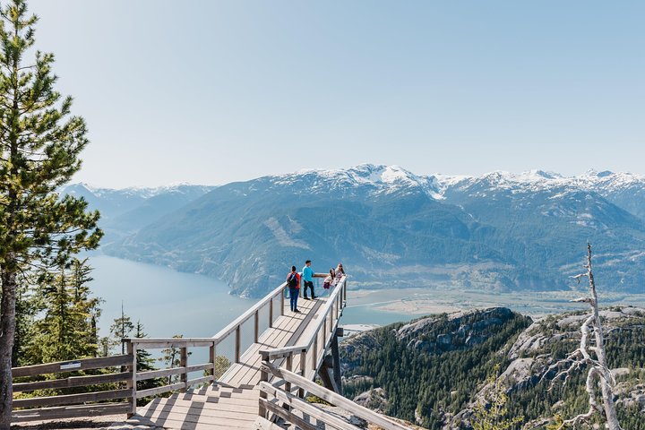 Prenez la télécabine Sea to Sky à Squamish pour des vues magnifiques sur la montagne et la forêt, photo 8 | wizardtrip