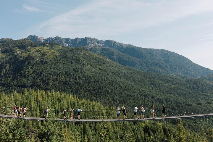 Prenez la télécabine Sea to Sky à Squamish pour des vues magnifiques sur la montagne et la forêt, photo 13 | wizardtrip