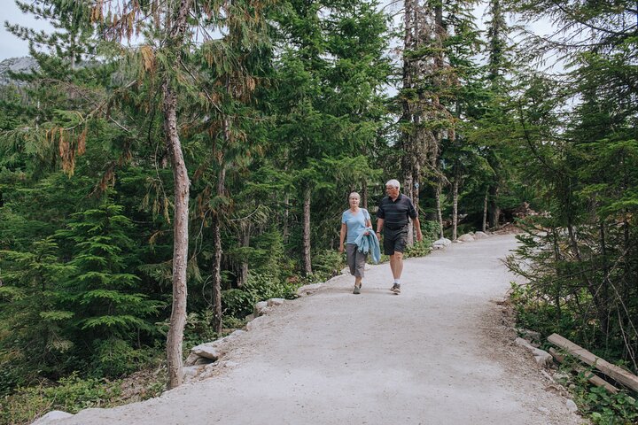 Prenez la télécabine Sea to Sky à Squamish pour des vues magnifiques sur la montagne et la forêt, photo 15 | wizardtrip
