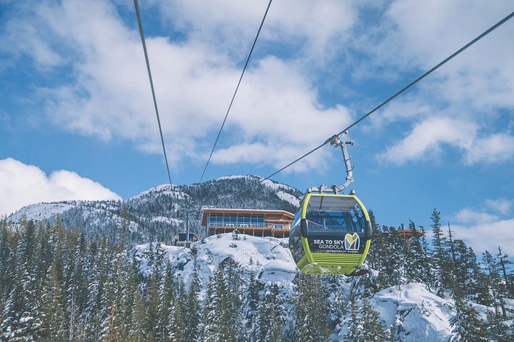 Prenez la télécabine Sea to Sky à Squamish pour des vues magnifiques sur la montagne et la forêt, photo 17 | wizardtrip