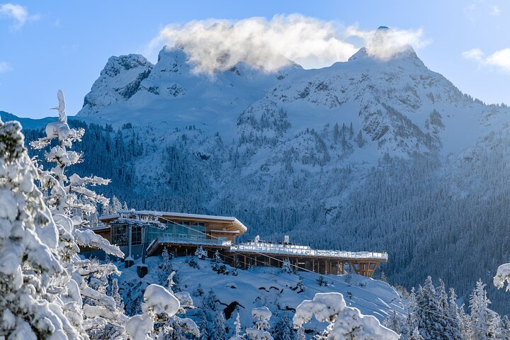Prenez la télécabine Sea to Sky à Squamish pour des vues magnifiques sur la montagne et la forêt, photo 18 | wizardtrip