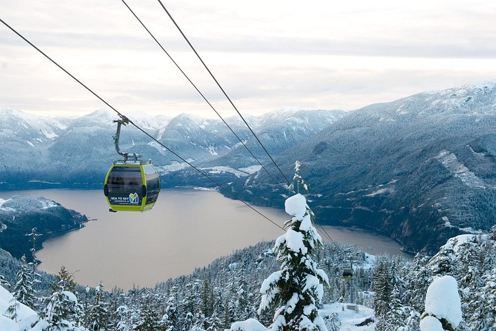 Prenez la télécabine Sea to Sky à Squamish pour des vues magnifiques sur la montagne et la forêt, photo 20 | wizardtrip