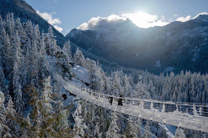 Prenez la télécabine Sea to Sky à Squamish pour des vues magnifiques sur la montagne et la forêt, photo 21 | wizardtrip