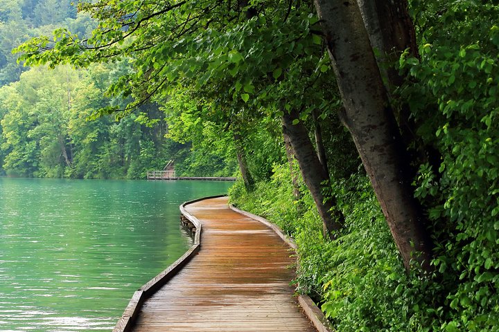 Slovénie en un Jour : Lac de Bled, Grottes de Postojna & Château de Predjama en petit groupe | wizardtrip