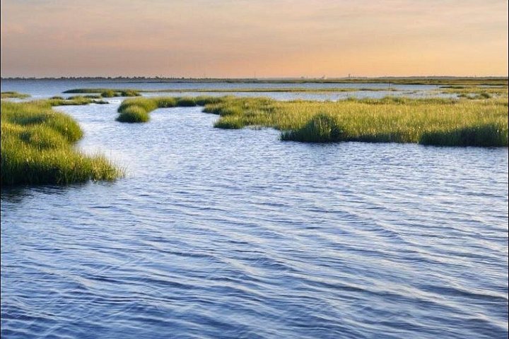 Båttur för delfinskådning på Hilton Head Island, South Carolina, foto 15 | wizardtrip