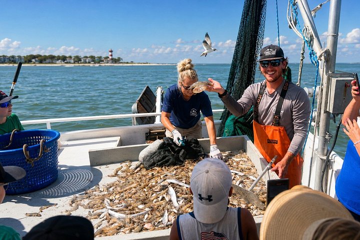 Hilton Head rejefiskeri bådtur eventyr udforsker saltmarsker og havliv, foto 7 | wizardtrip