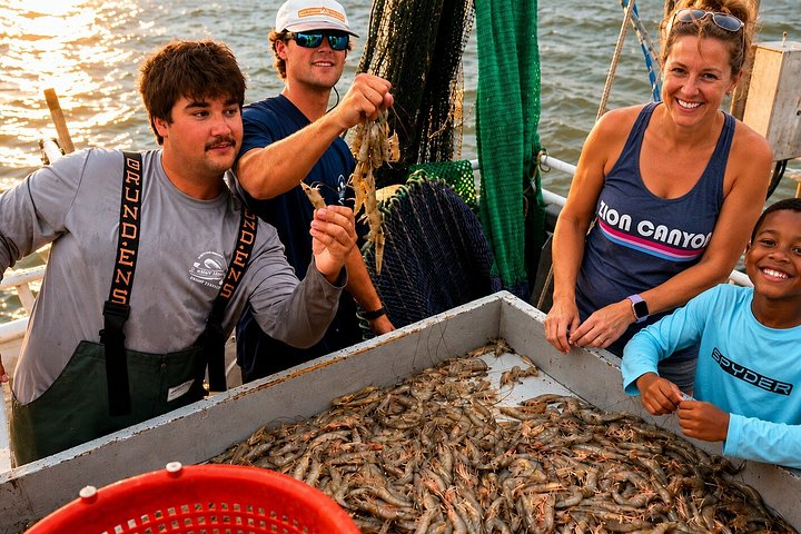 Hilton Head rejefiskeri bådtur eventyr udforsker saltmarsker og havliv, foto 9 | wizardtrip
