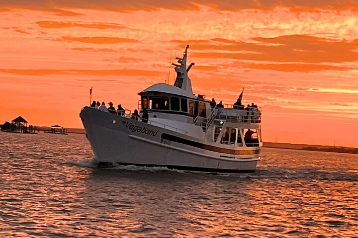 Crociera al tramonto con avvistamento delfini con partenza da Hilton Head Island, foto 8 | wizardtrip