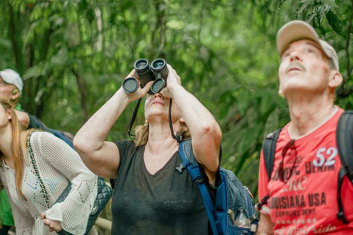 Excursion privée guidée dans le parc national Manuel Antonio au Costa Rica, avec faune et plages, photo 6 | wizardtrip