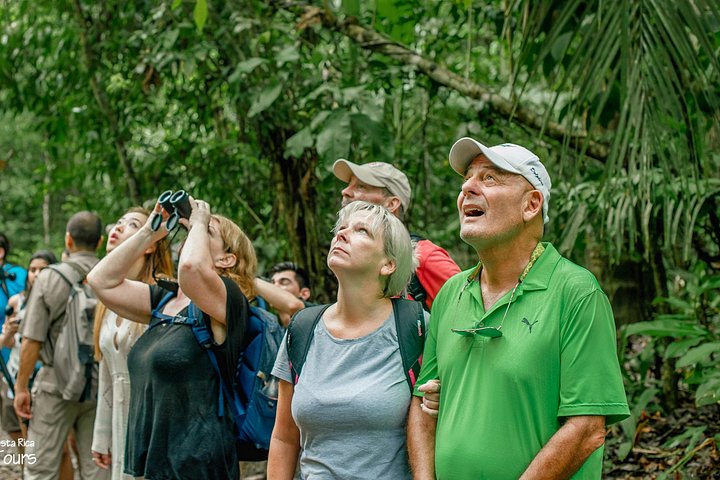 Excursion privée guidée dans le parc national Manuel Antonio au Costa Rica, avec faune et plages, photo 7 | wizardtrip