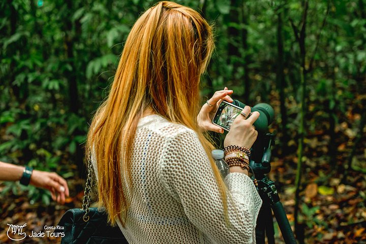 Excursion privée guidée dans le parc national Manuel Antonio au Costa Rica, avec faune et plages, photo 12 | wizardtrip