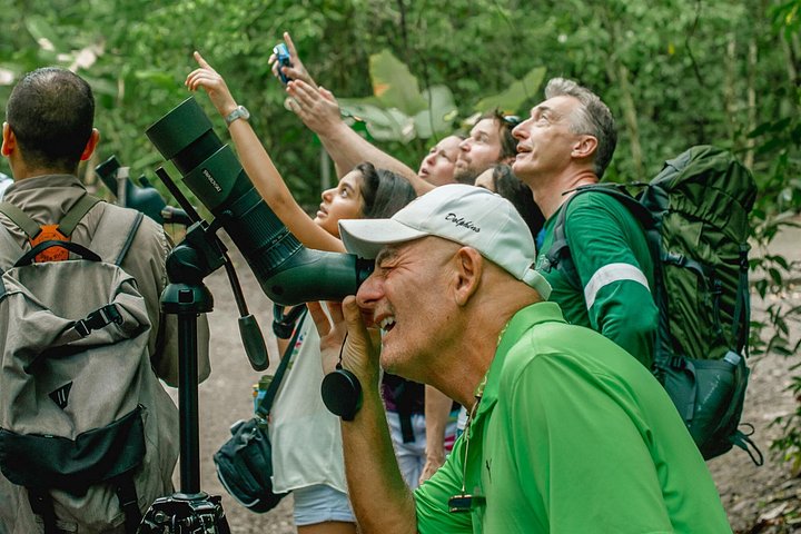 Excursion privée guidée dans le parc national Manuel Antonio au Costa Rica, avec faune et plages, photo 15 | wizardtrip