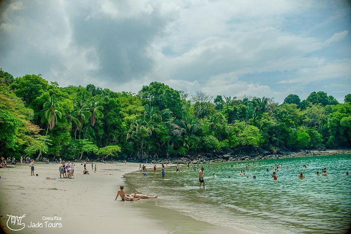 Excursion privée guidée dans le parc national Manuel Antonio au Costa Rica, avec faune et plages, photo 16 | wizardtrip