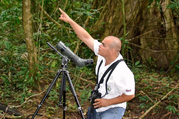 Passeggiata naturalistica guidata nel Parco Nazionale Manuel Antonio, Costa Rica, avvistando fauna selvatica come scimmie e bradipi, foto 8 | wizardtrip
