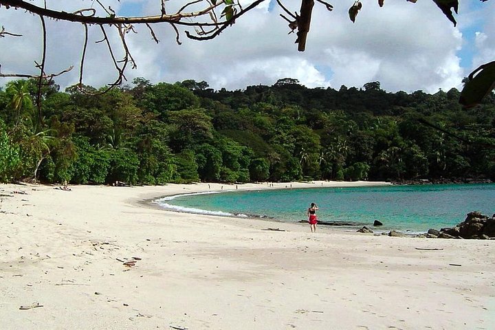Passeggiata naturalistica guidata nel Parco Nazionale Manuel Antonio, Costa Rica, avvistando fauna selvatica come scimmie e bradipi, foto 13 | wizardtrip