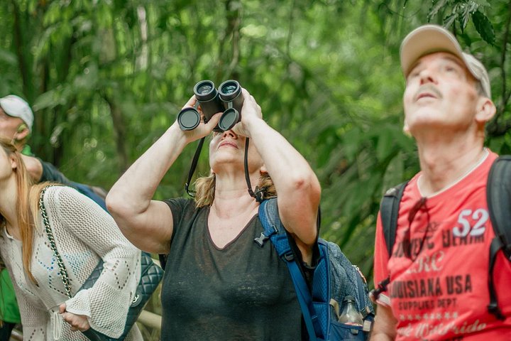 Passeggiata naturalistica guidata nel Parco Nazionale Manuel Antonio, Costa Rica, avvistando fauna selvatica come scimmie e bradipi, foto 15 | wizardtrip