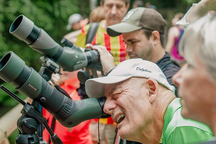 Passeggiata naturalistica guidata nel Parco Nazionale Manuel Antonio, Costa Rica, avvistando fauna selvatica come scimmie e bradipi, foto 16 | wizardtrip