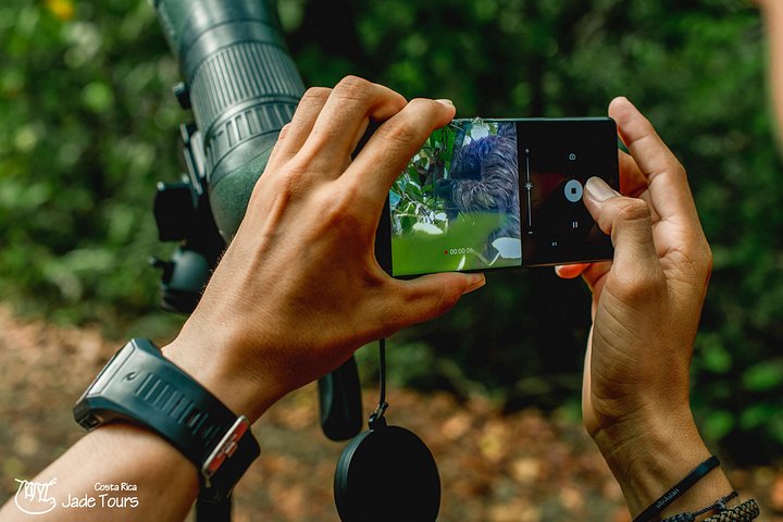 Passeggiata naturalistica guidata nel Parco Nazionale Manuel Antonio, Costa Rica, avvistando fauna selvatica come scimmie e bradipi, foto 18 | wizardtrip