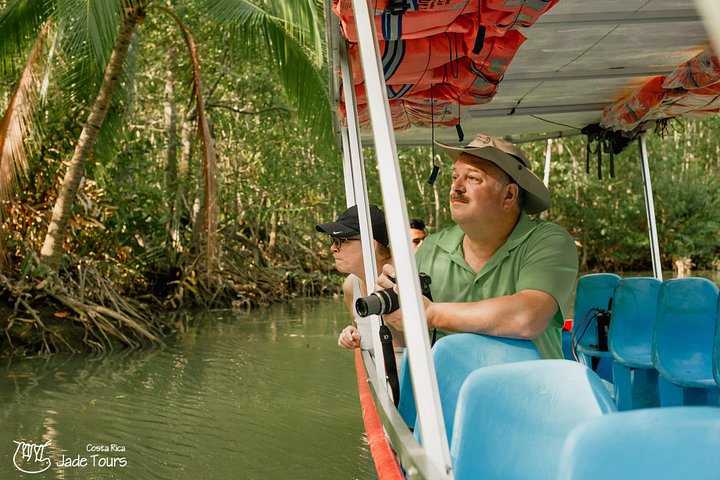 Boottocht door de weelderige mangrovekanalen van Damas Island, Costa Rica, met het spotten van wilde dieren, foto 6 | wizardtrip