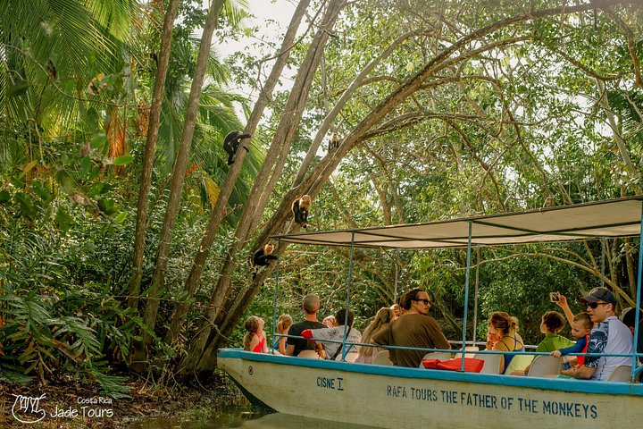 Boottocht door de weelderige mangrovekanalen van Damas Island, Costa Rica, met het spotten van wilde dieren, foto 15 | wizardtrip