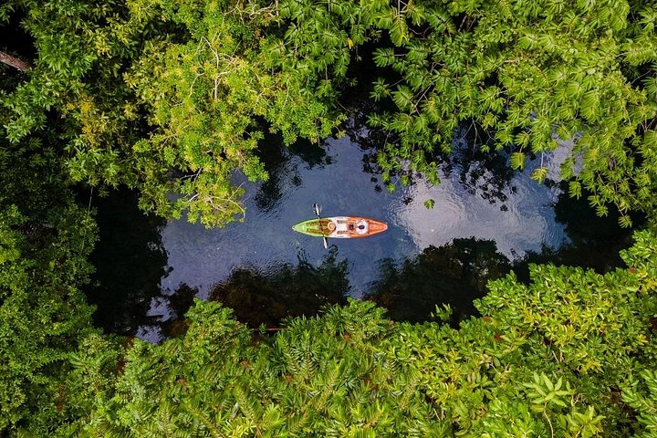 Kajaktour durch die Mangroven von Manuel Antonio | wizardtrip