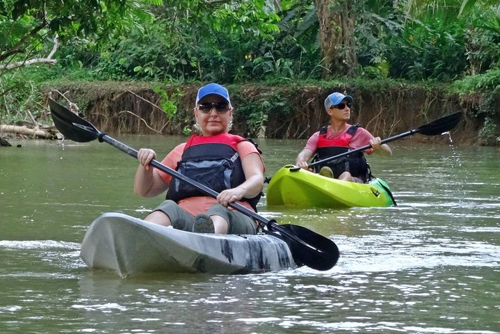 Kayak dans les forêts de mangroves luxuriantes de l'île de Damas, Costa Rica, en observant la faune, photo 6 | wizardtrip