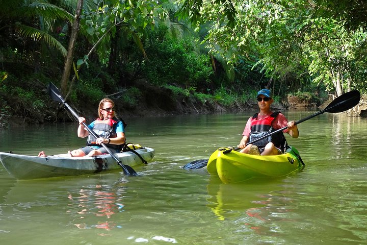 Kayak dans les forêts de mangroves luxuriantes de l'île de Damas, Costa Rica, en observant la faune, photo 7 | wizardtrip