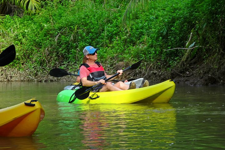 Kayak dans les forêts de mangroves luxuriantes de l'île de Damas, Costa Rica, en observant la faune, photo 13 | wizardtrip