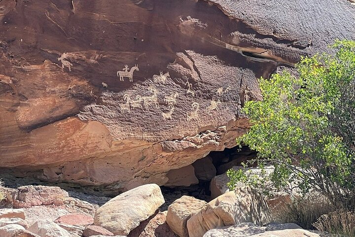 Guided tour of Arches National Park from Moab in a Panoramic Van, showcasing unique rock formations, photo 25 | wizardtrip
