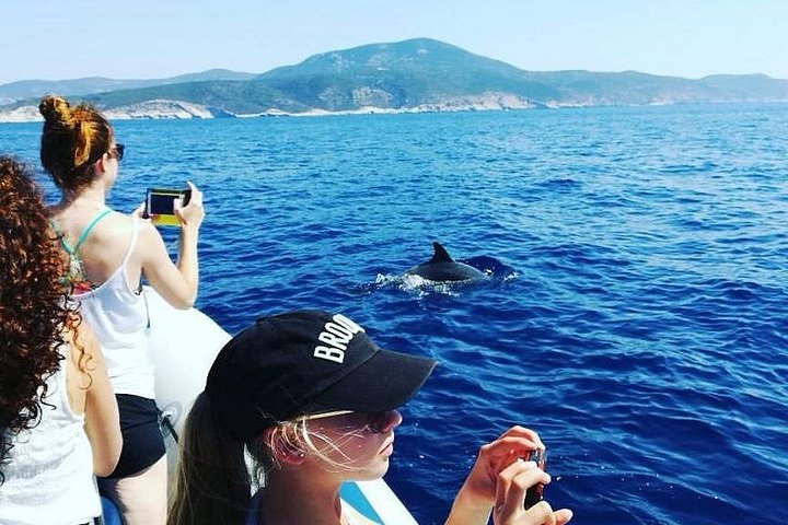 Speedboot-Tour von Split zur Blauen Grotte, Hvar und umliegenden Inseln, die atemberaubende Adriaküste und Aktivitäten zeigt, Foto 12 | wizardtrip