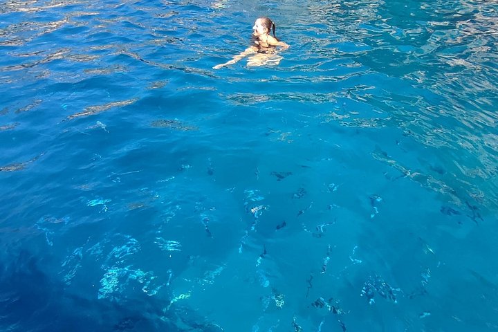 Speedboot-Tour von Split zur Blauen Grotte, Hvar und umliegenden Inseln, die atemberaubende Adriaküste und Aktivitäten zeigt, Foto 32 | wizardtrip