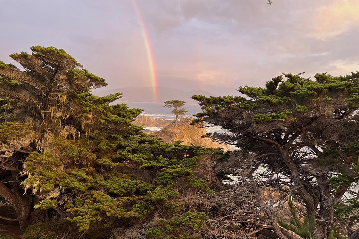 Tour guidato in e-bike lungo la panoramica 17-Mile Drive di Monterey, con viste sulla costa e monumenti, foto 7 | wizardtrip
