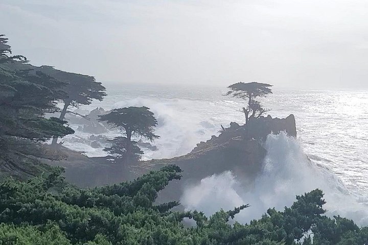 Tour guidato in e-bike lungo la panoramica 17-Mile Drive di Monterey, con viste sulla costa e monumenti, foto 9 | wizardtrip