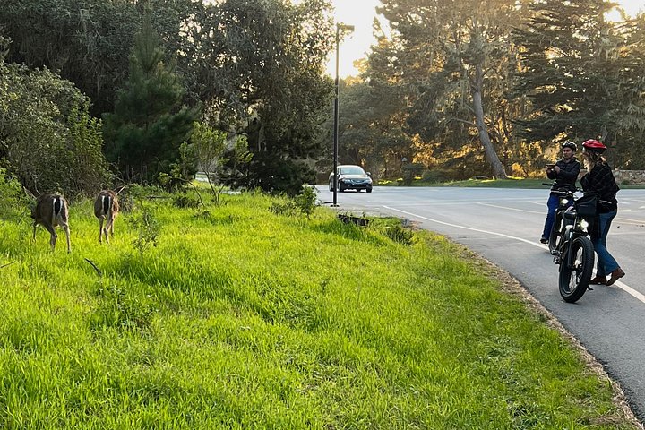 Tour guidato in e-bike lungo la panoramica 17-Mile Drive di Monterey, con viste sulla costa e monumenti, foto 14 | wizardtrip